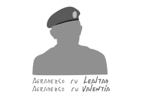 Aliado 10